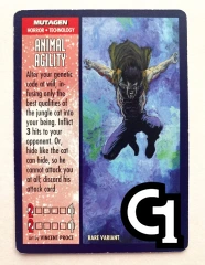 Animal Agility